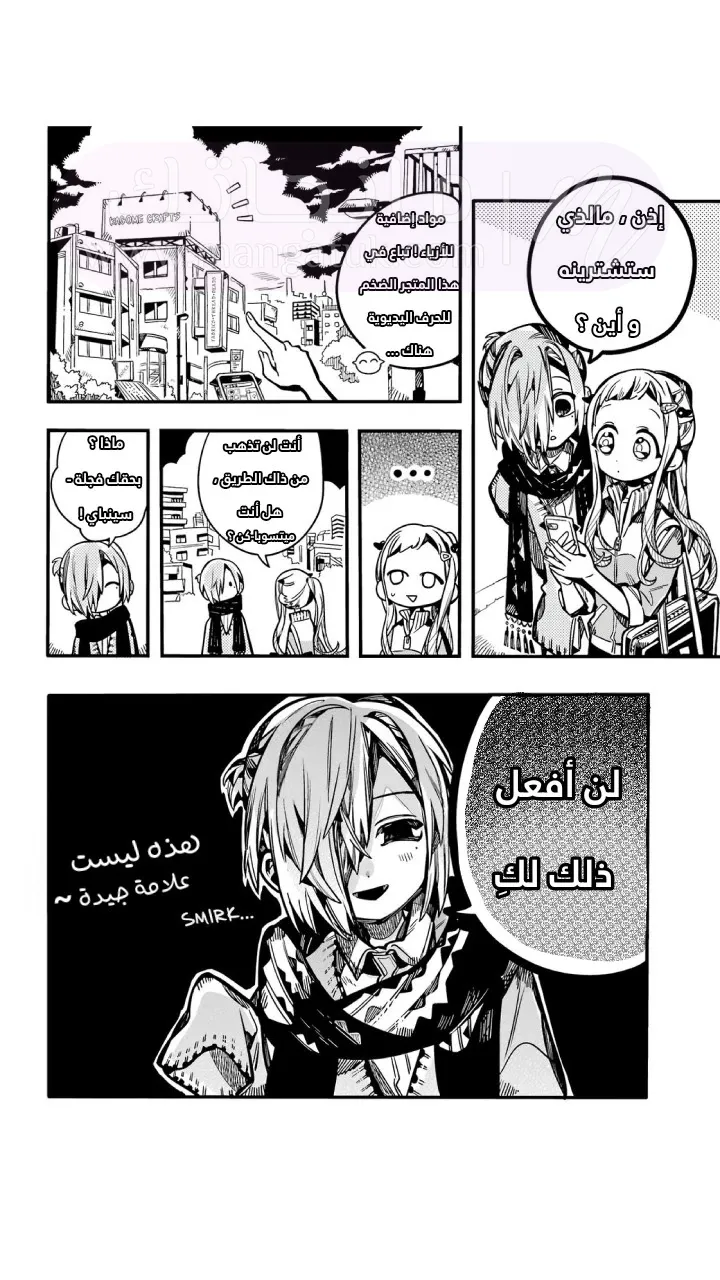 الصفحة 13
