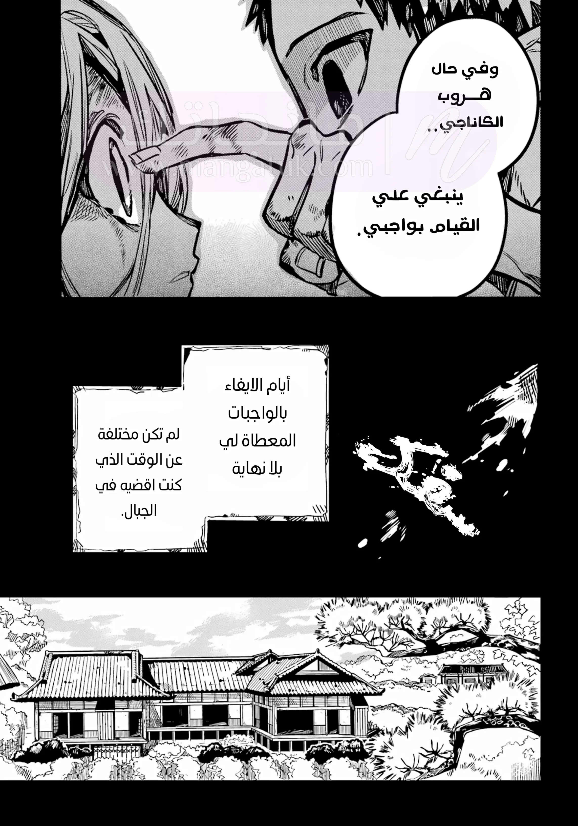 الصفحة 25