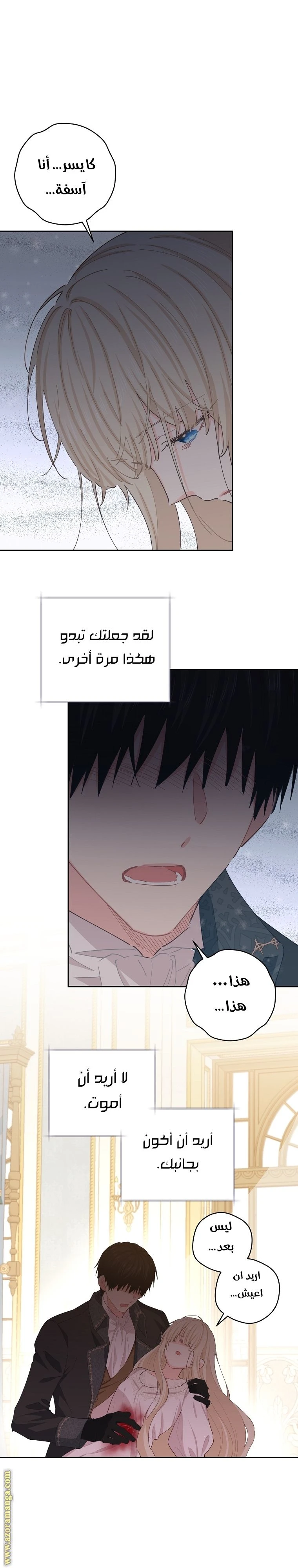 الصفحة 16