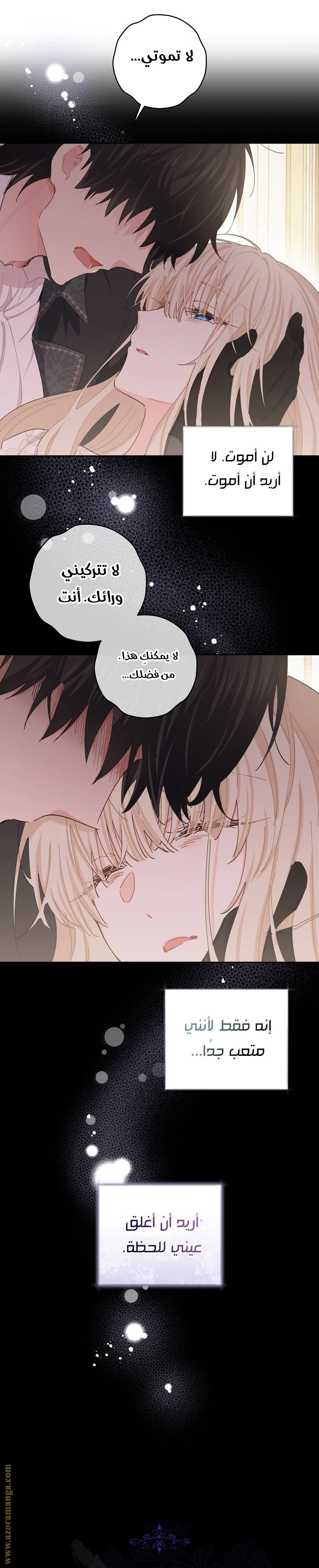 الصفحة 17