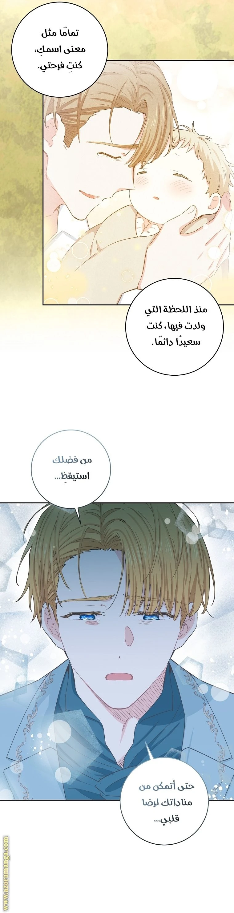 الصفحة 27