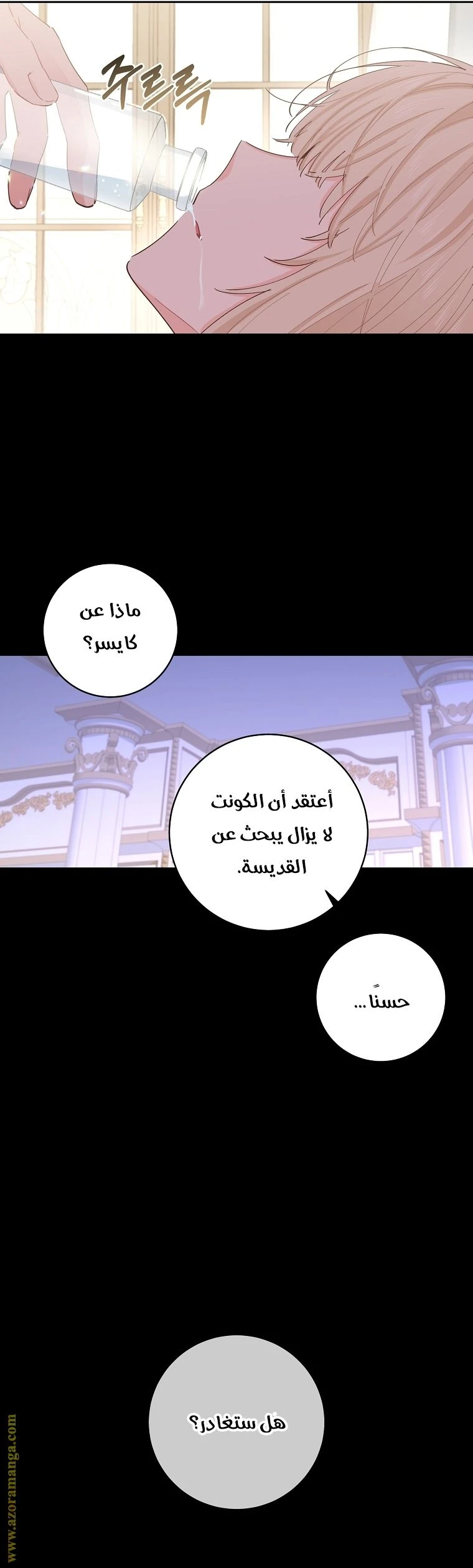 الصفحة 29