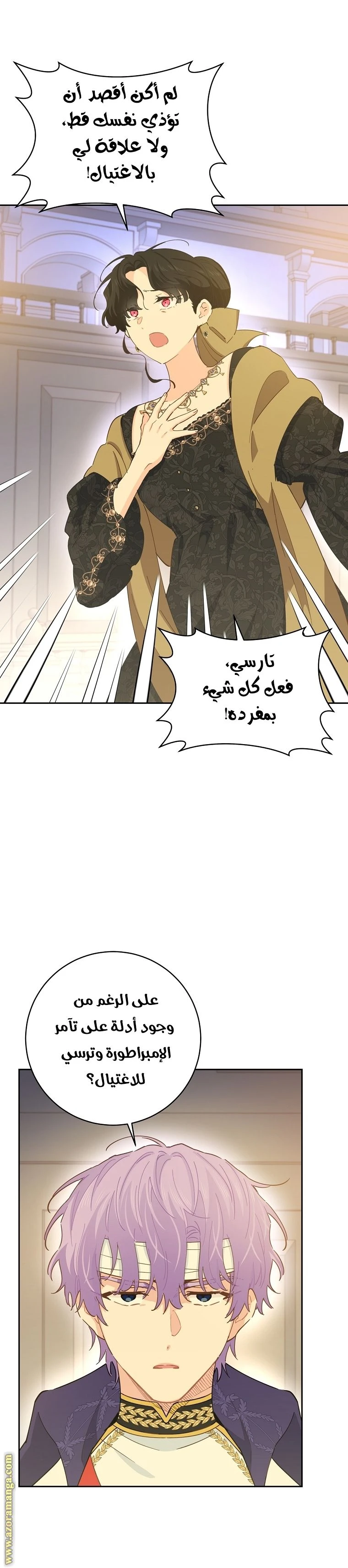 الصفحة 3