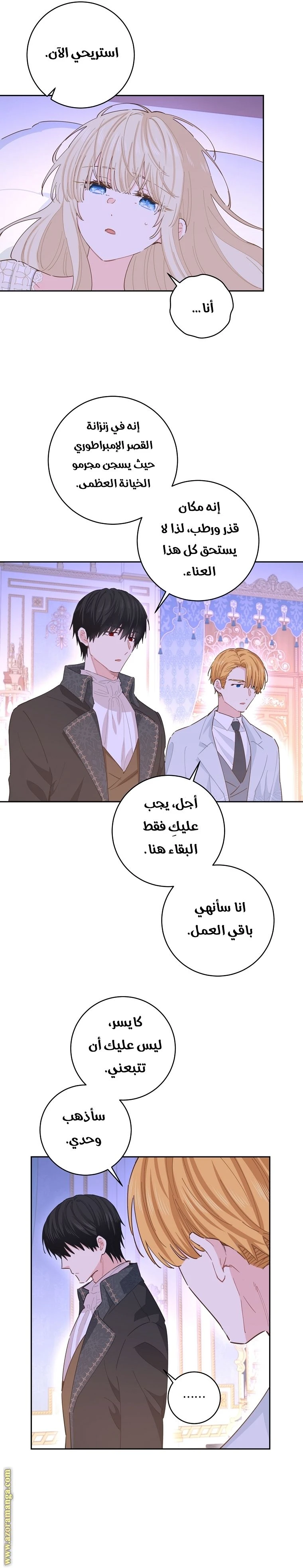 الصفحة 17