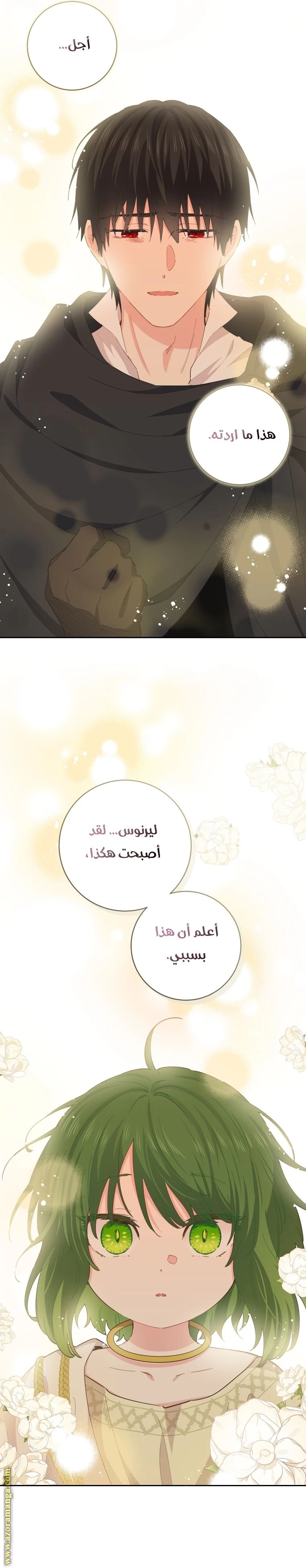 الصفحة 27