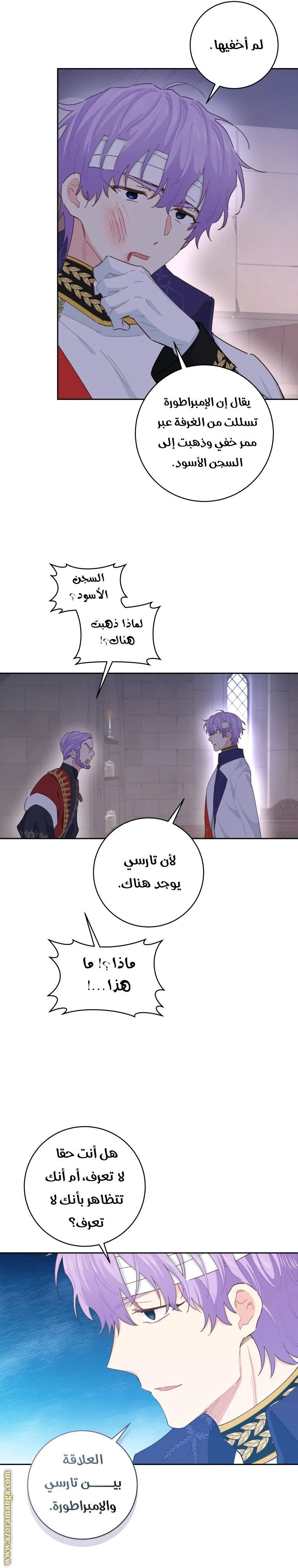 الصفحة 12