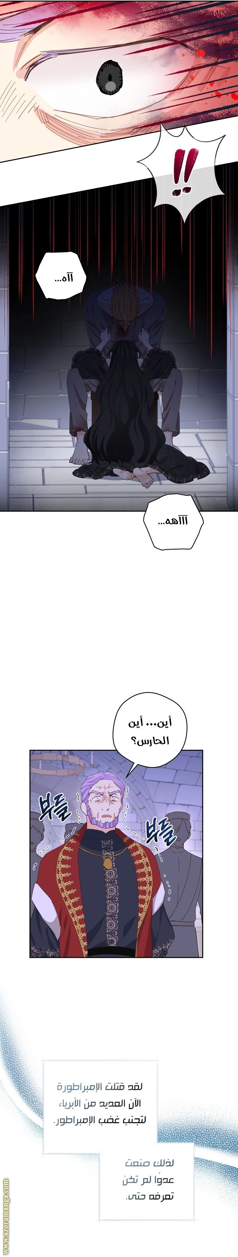 الصفحة 16