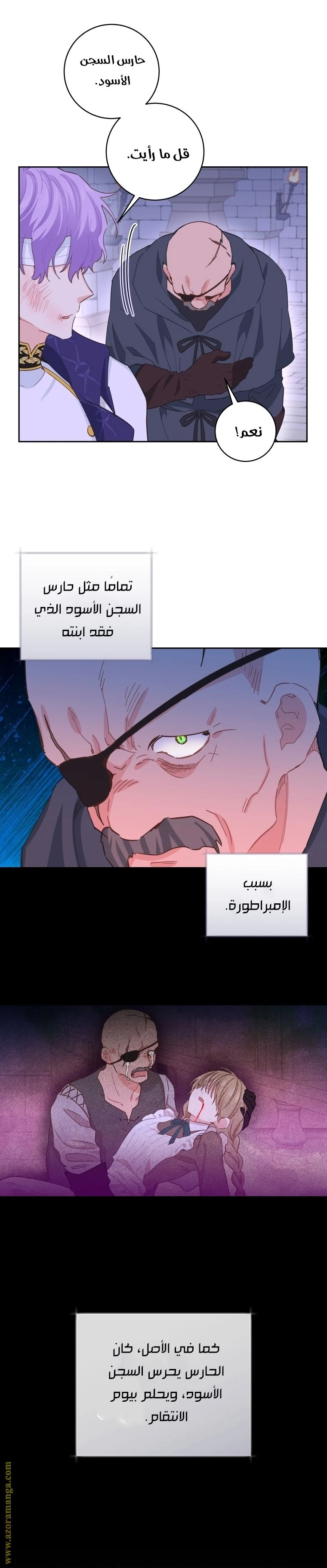 الصفحة 17