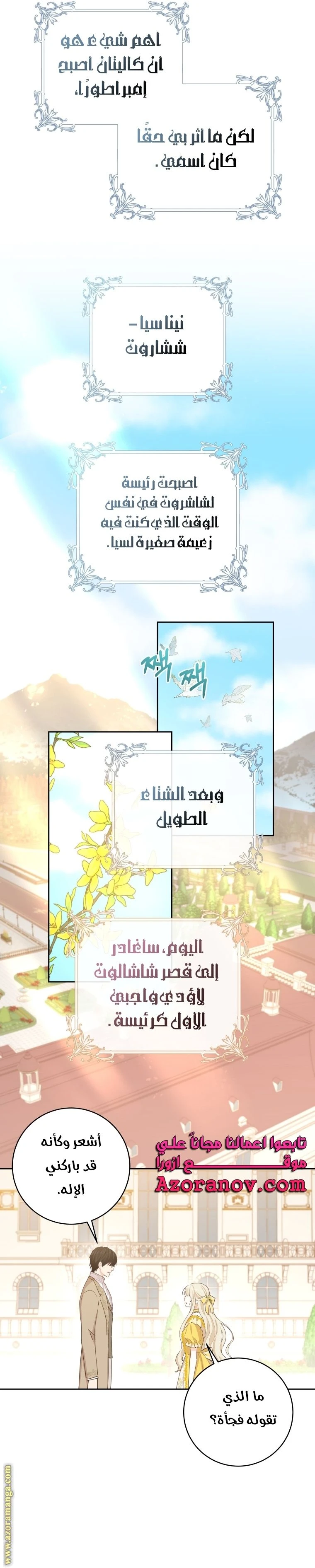 الصفحة 17