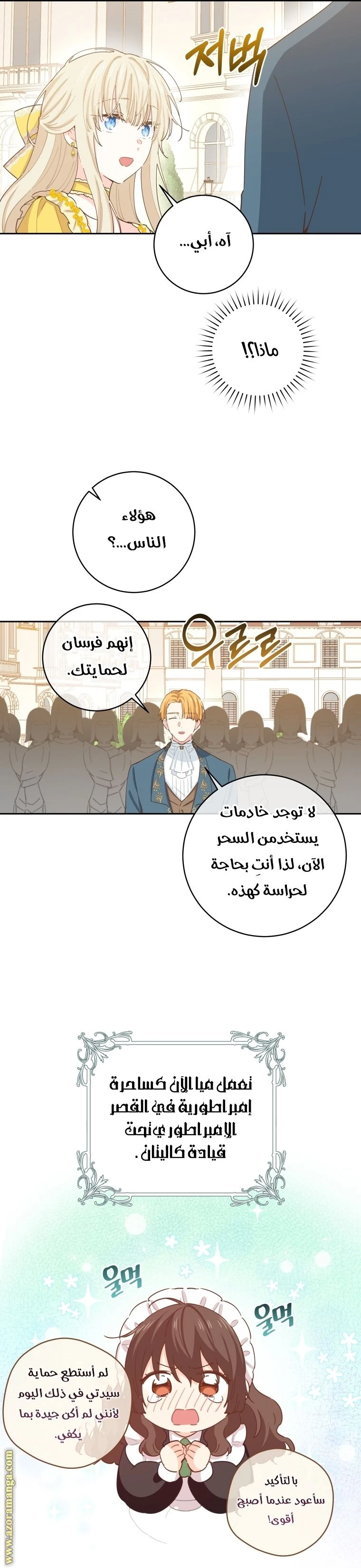 الصفحة 19