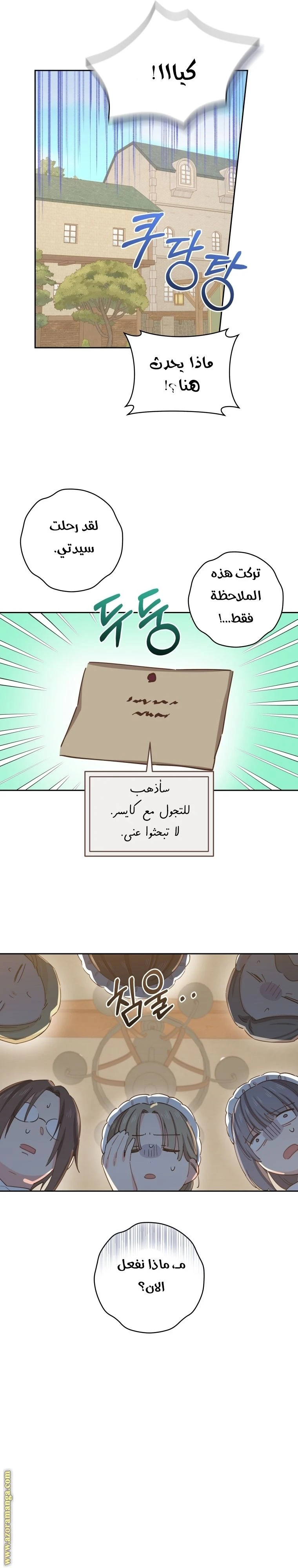 الصفحة 27