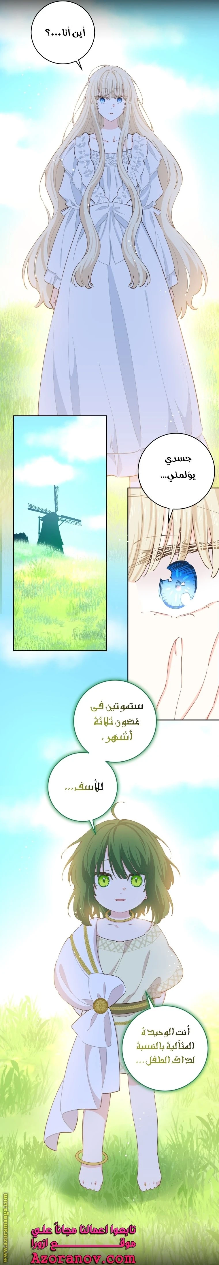 الصفحة 13