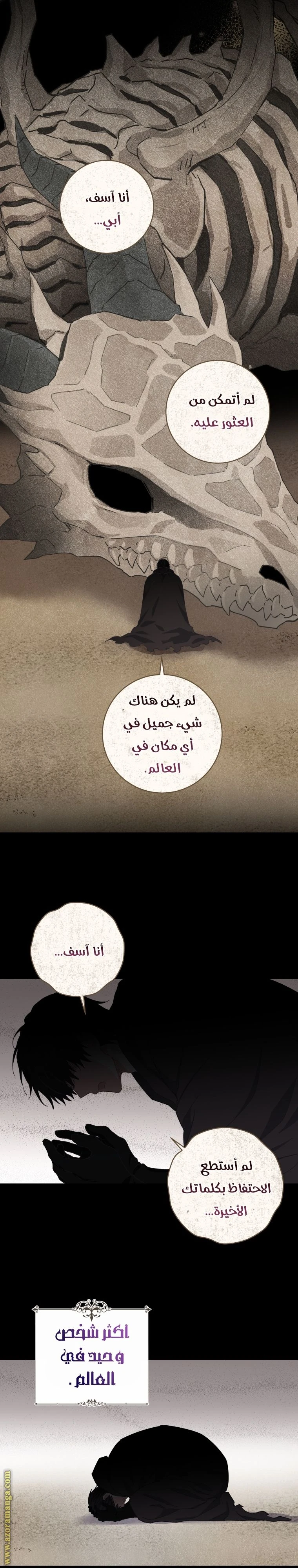الصفحة 27
