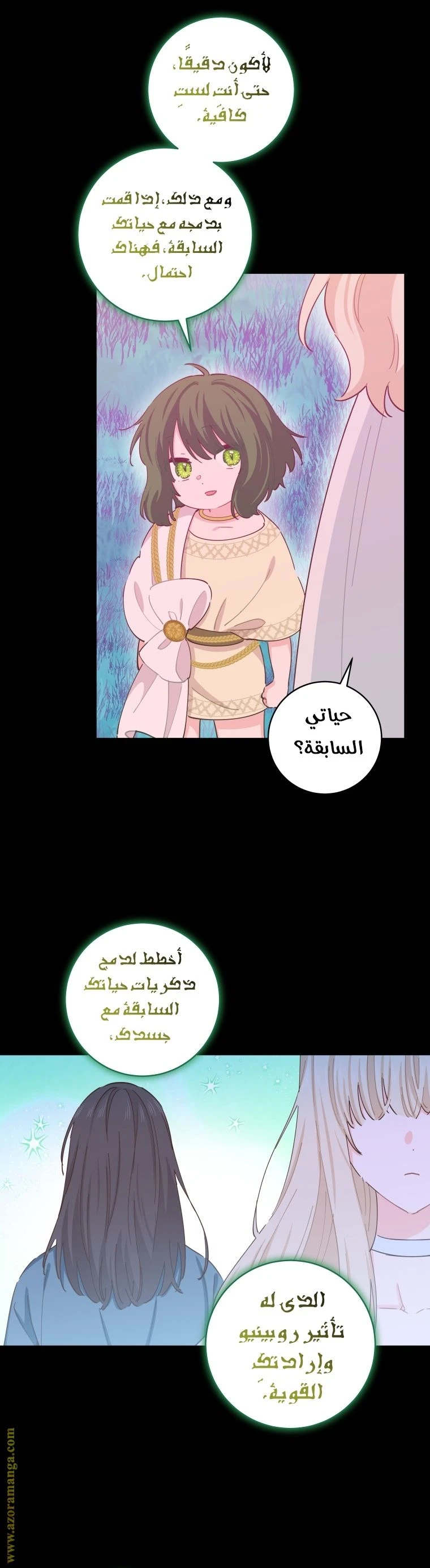 الصفحة 31