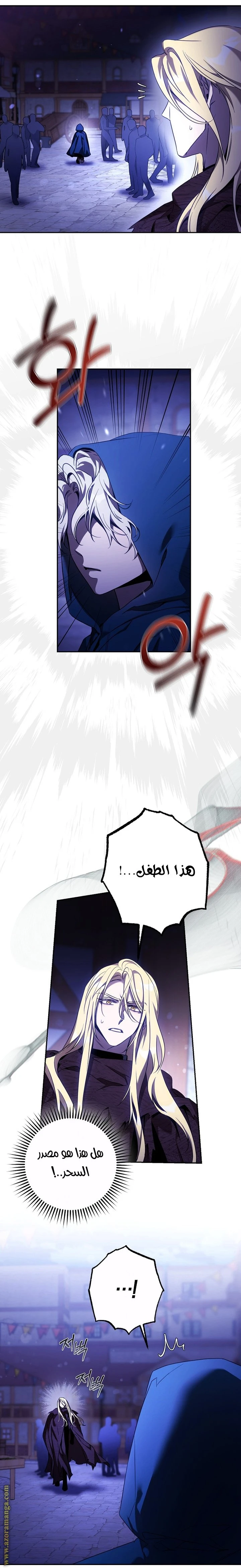 الصفحة 13