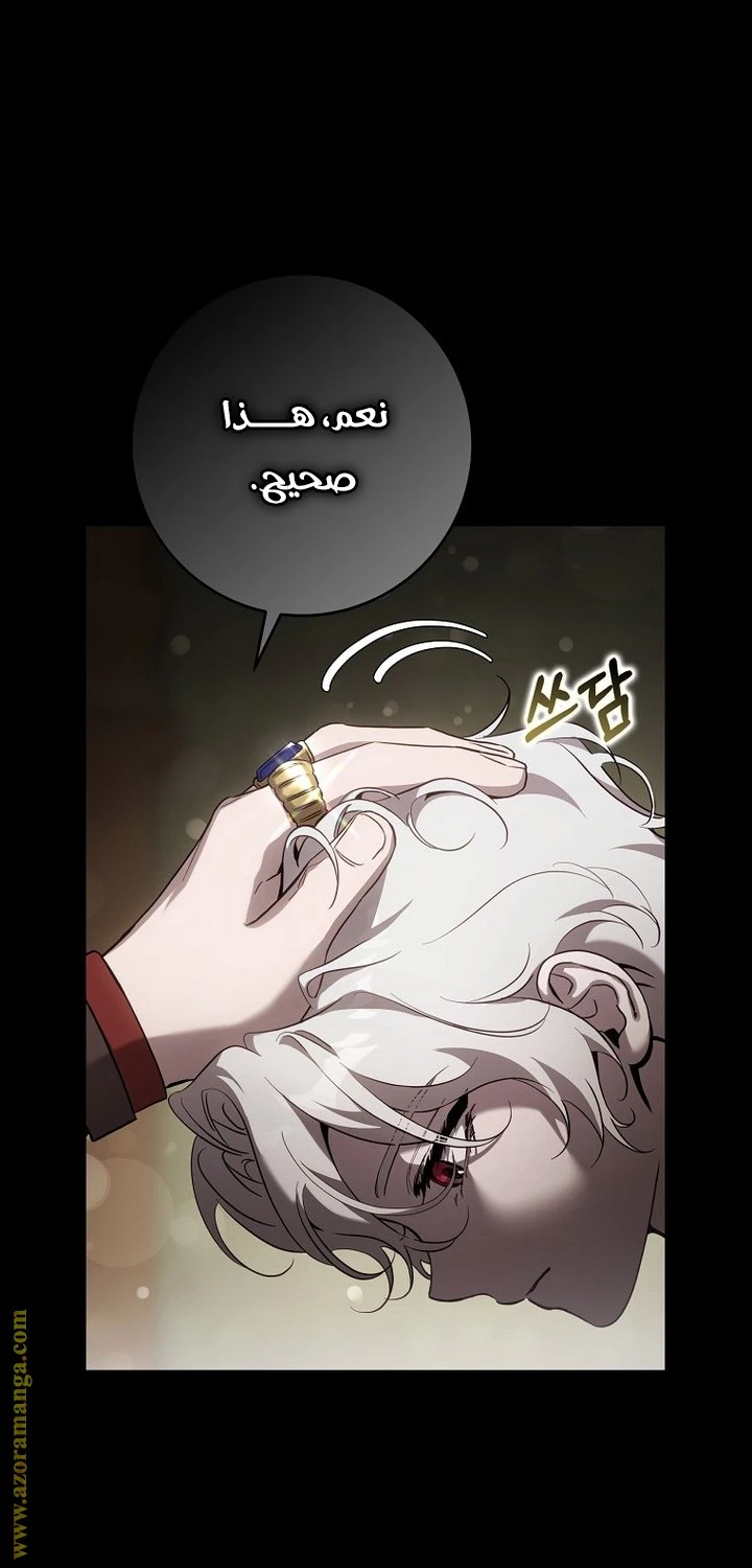 الصفحة 23