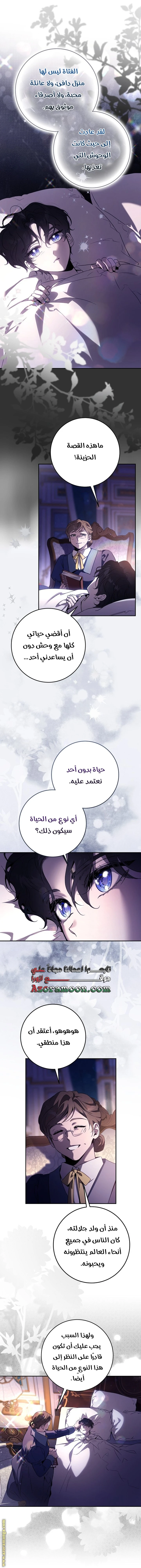 الصفحة 29
