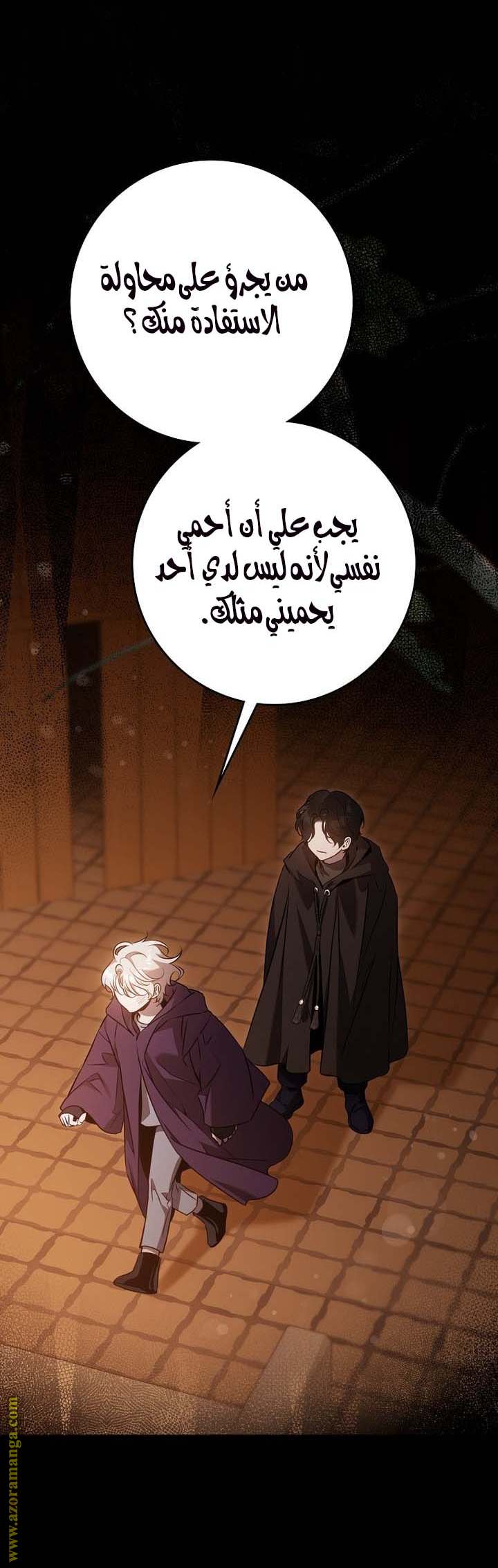الصفحة 13