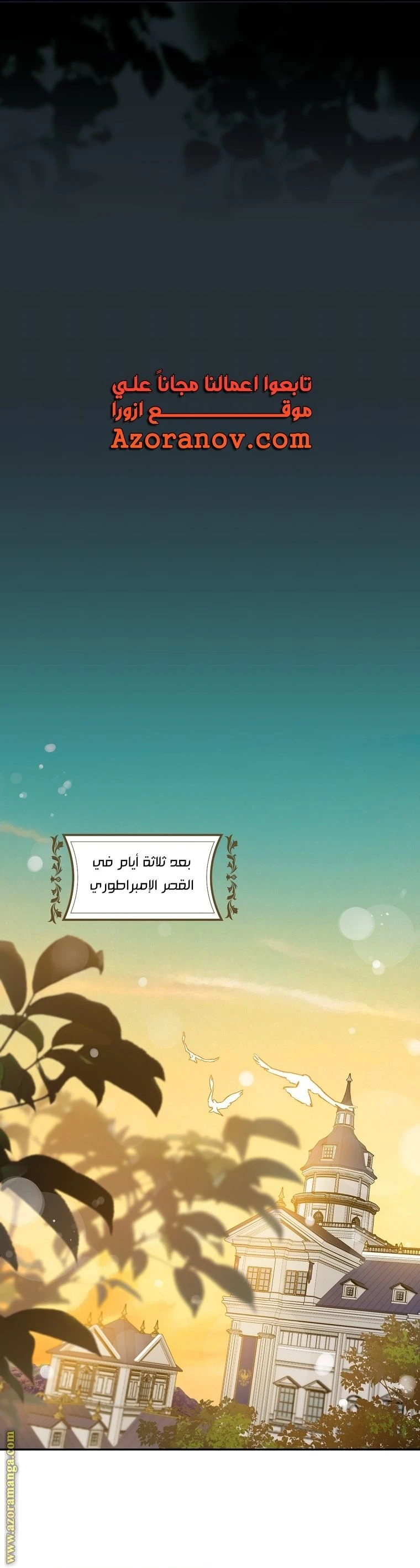 الصفحة 14