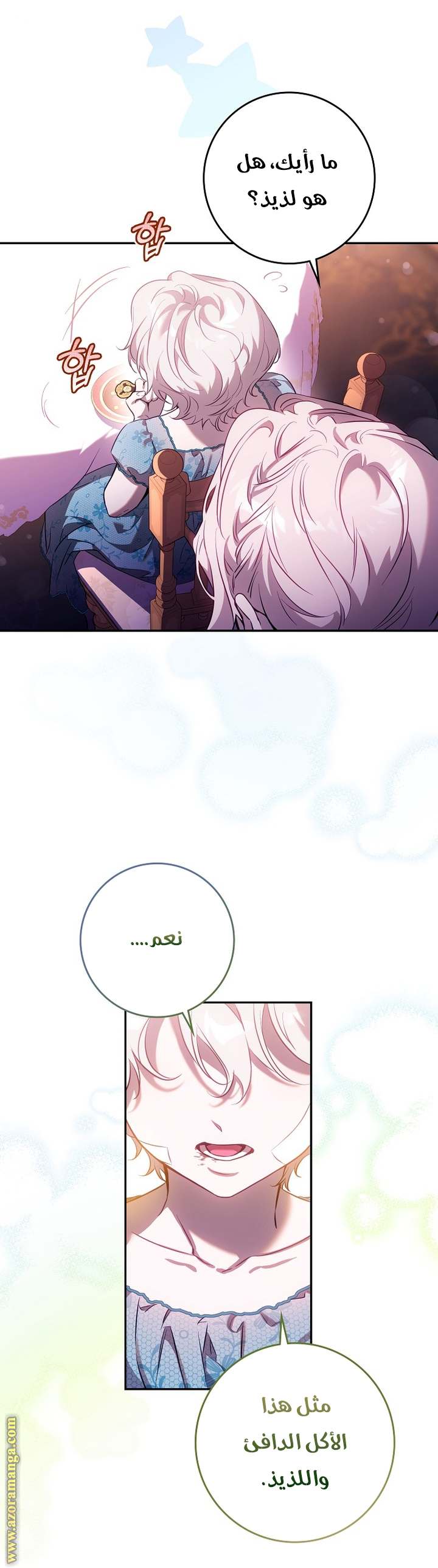 الصفحة 17