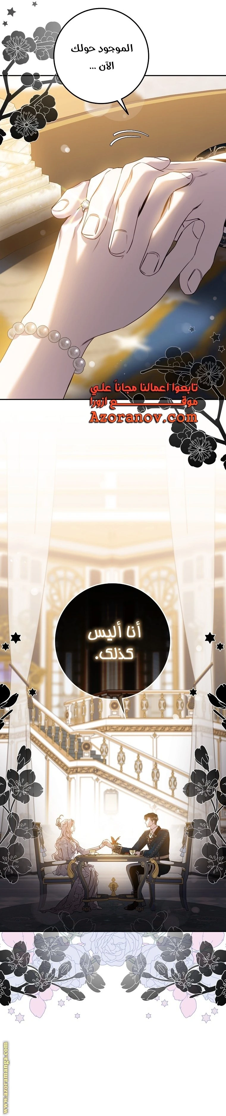 الصفحة 17