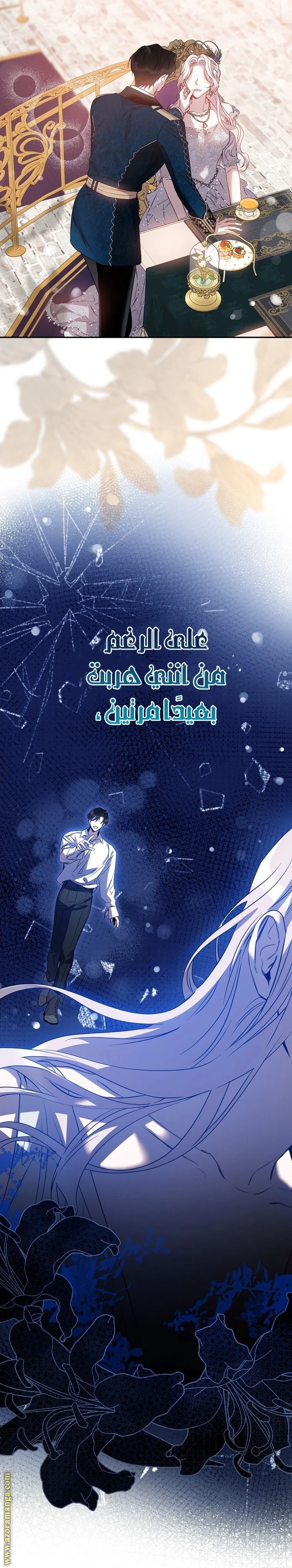 الصفحة 6