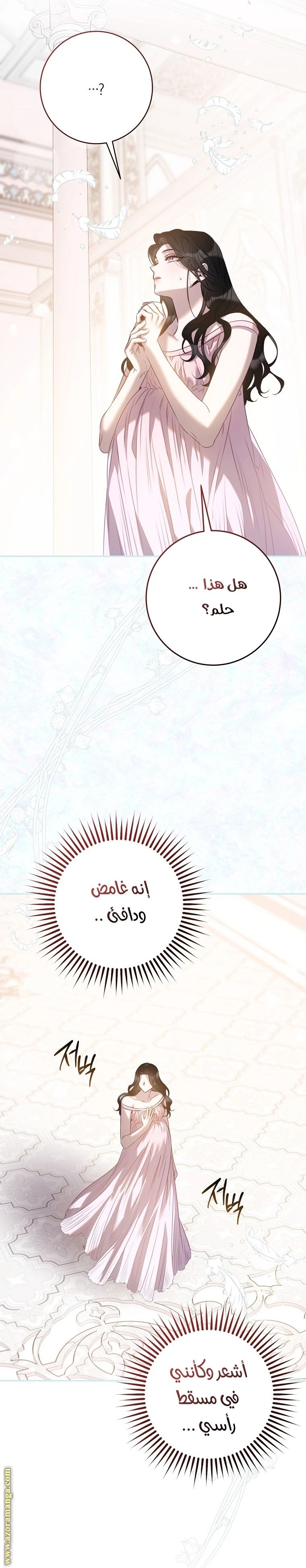 الصفحة 27