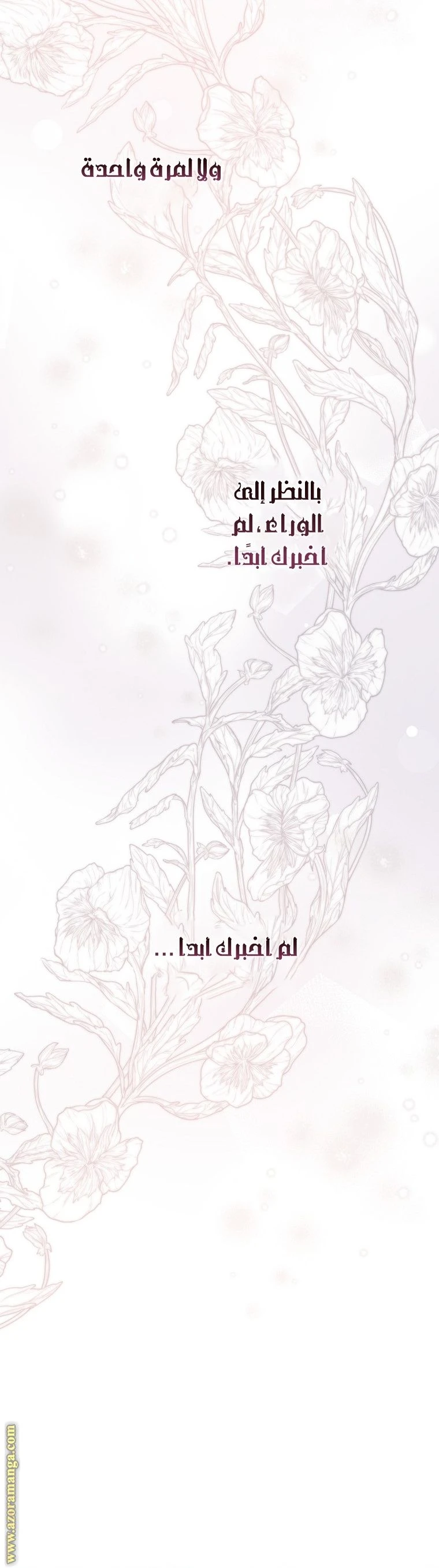 الصفحة 25