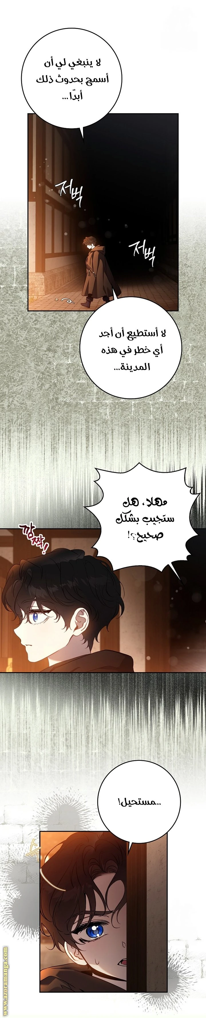 الصفحة 17