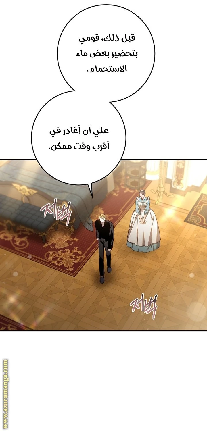 الصفحة 25