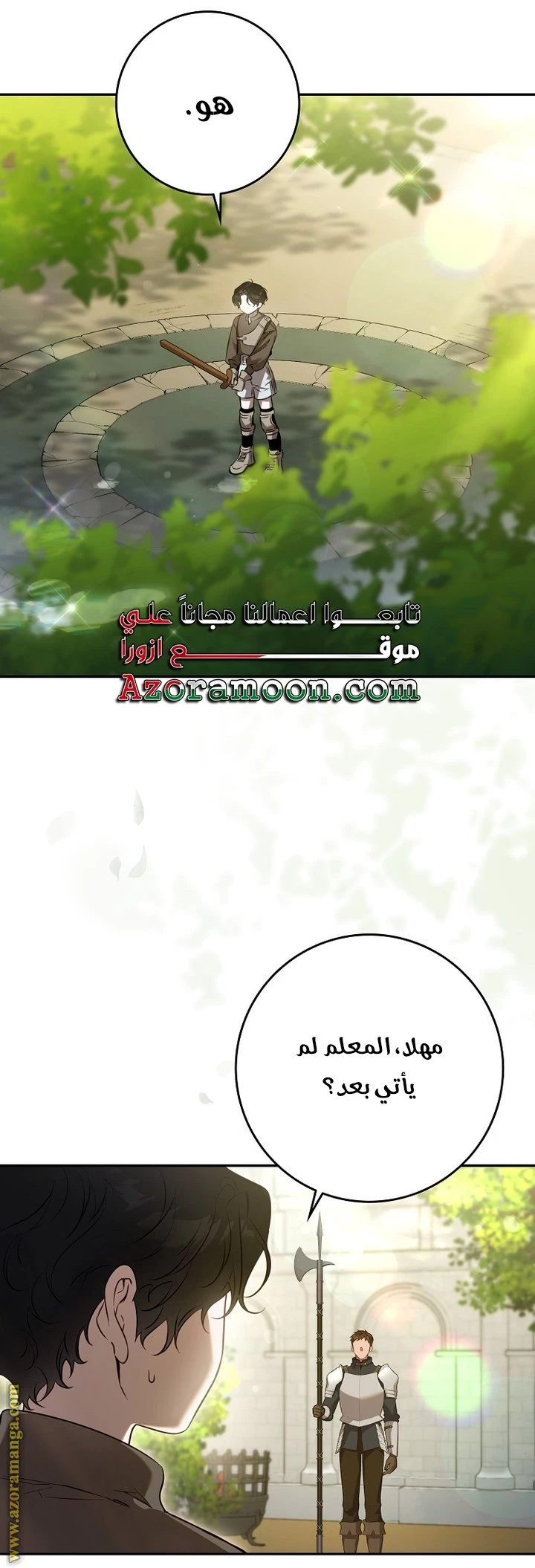 الصفحة 29