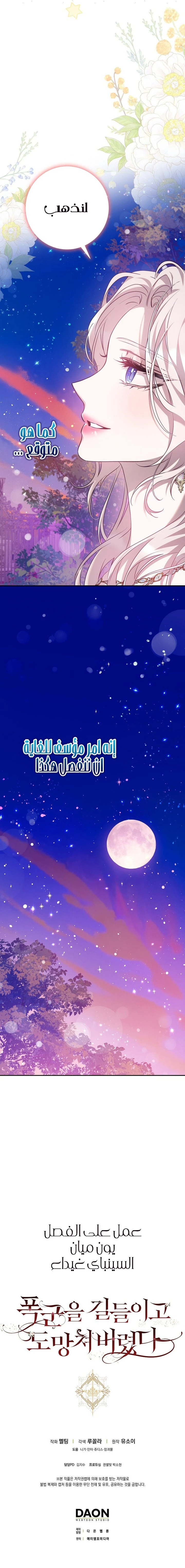 الصفحة 27