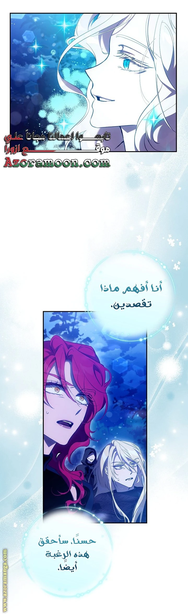 الصفحة 17