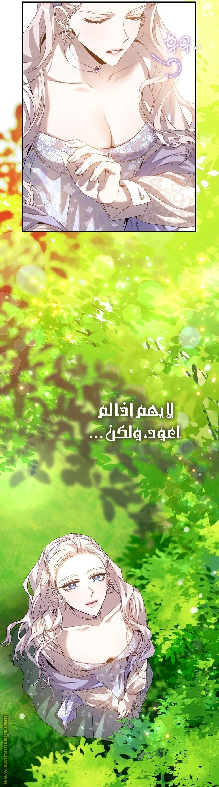 الصفحة 29
