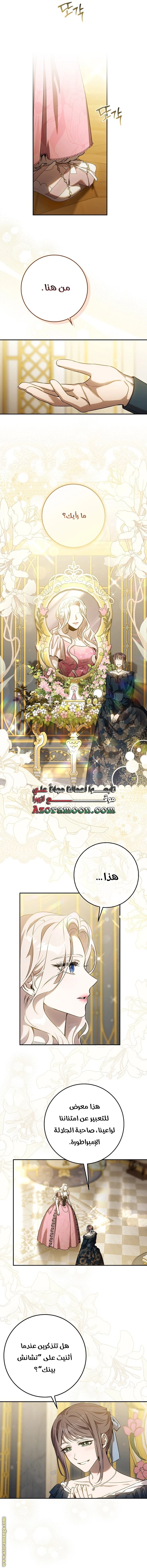 الصفحة 17