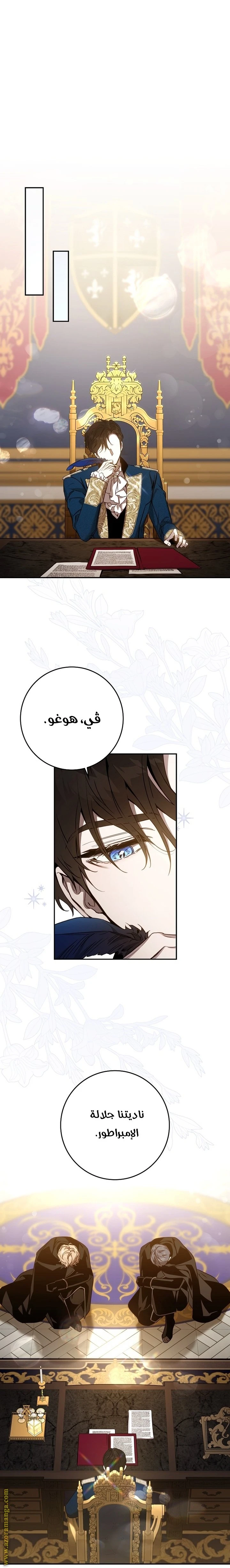 الصفحة 25