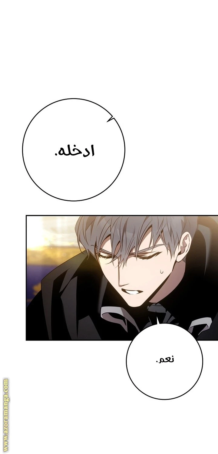 الصفحة 29