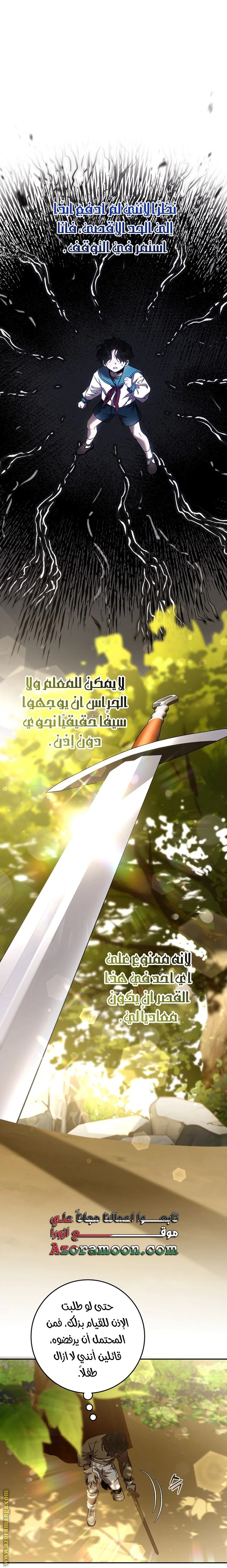 الصفحة 13