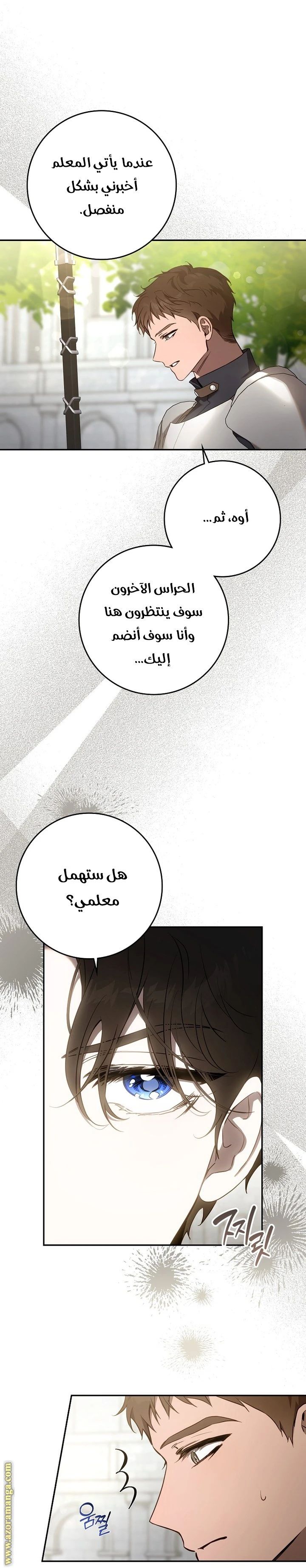 الصفحة 17