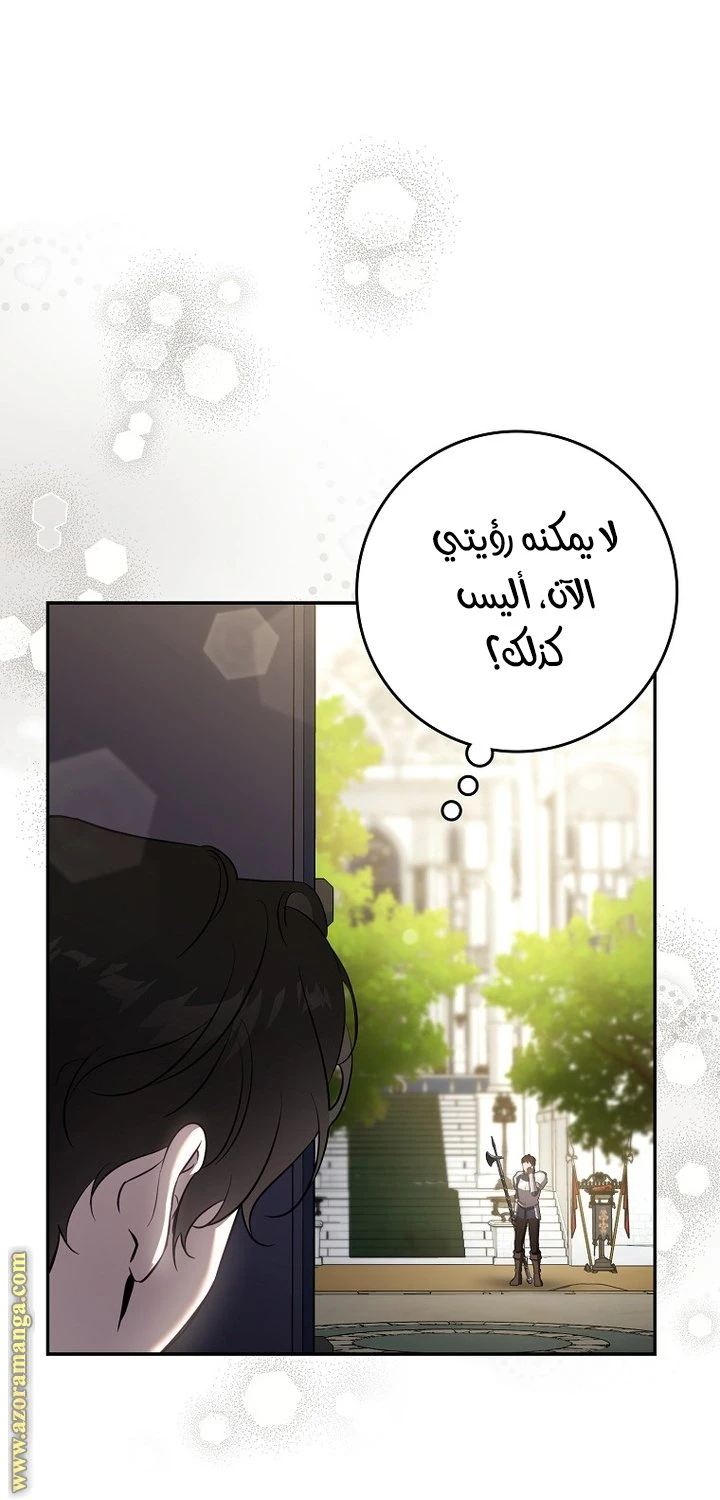 الصفحة 20