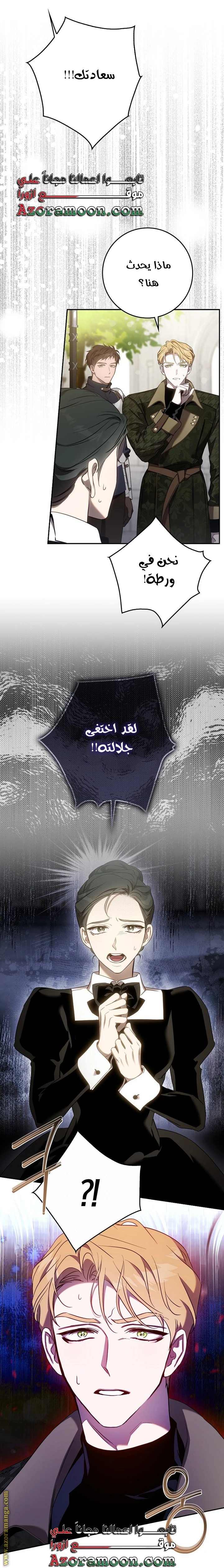 الصفحة 27