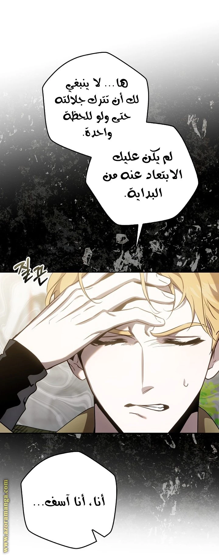 الصفحة 29