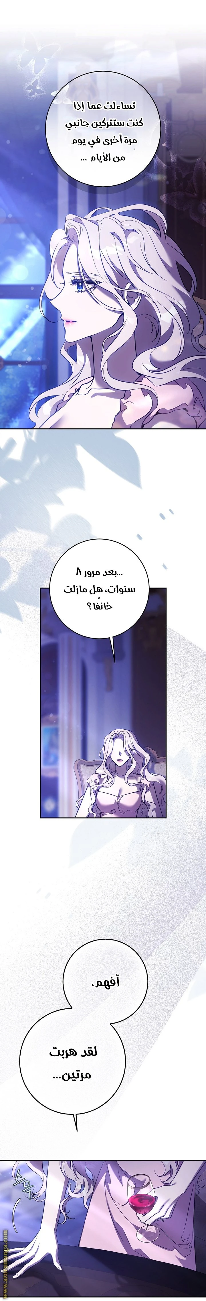 الصفحة 17