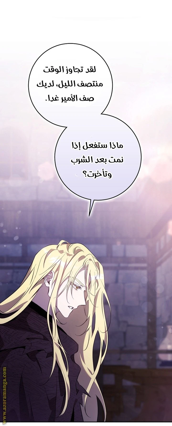 الصفحة 27