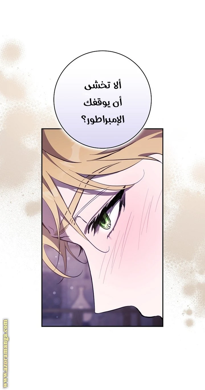 الصفحة 28