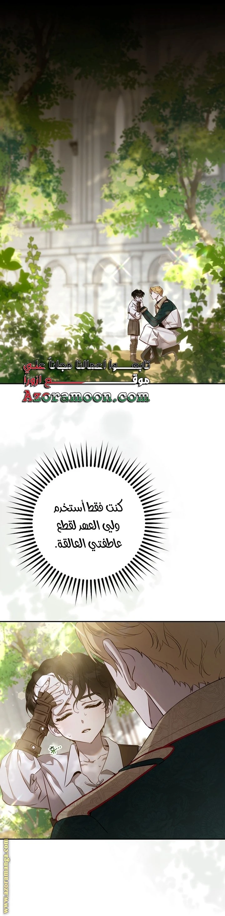 الصفحة 12