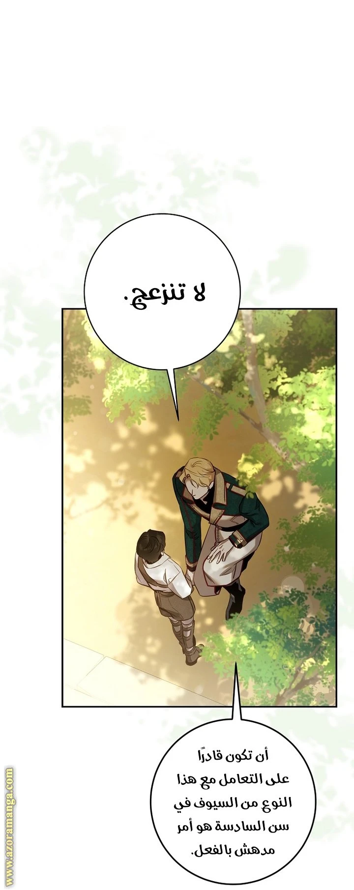 الصفحة 19