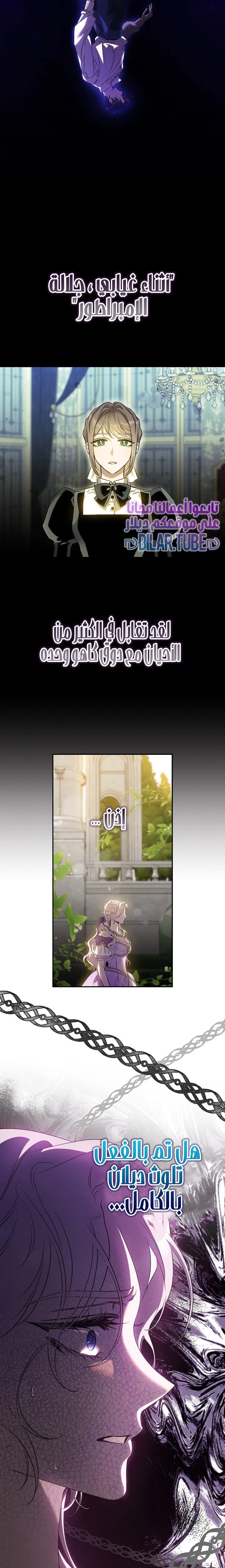 الصفحة 24