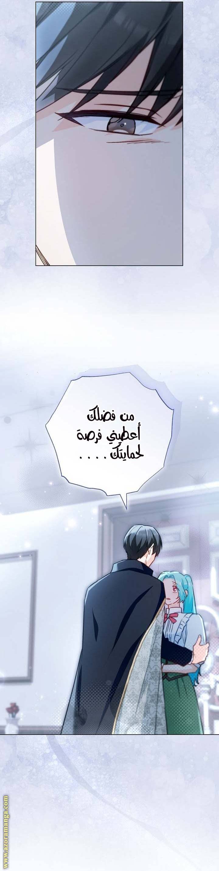 الصفحة 25