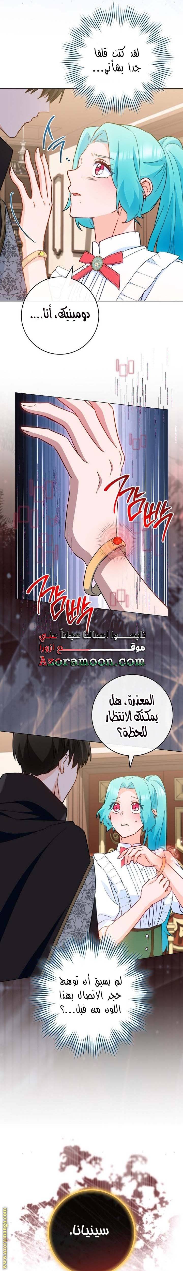 الصفحة 26